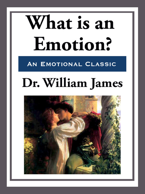 Cover image for book What is an Emotion?