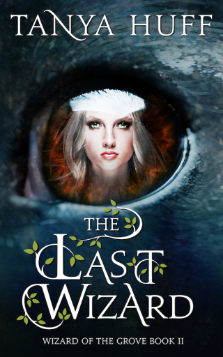 The Last Wizard
