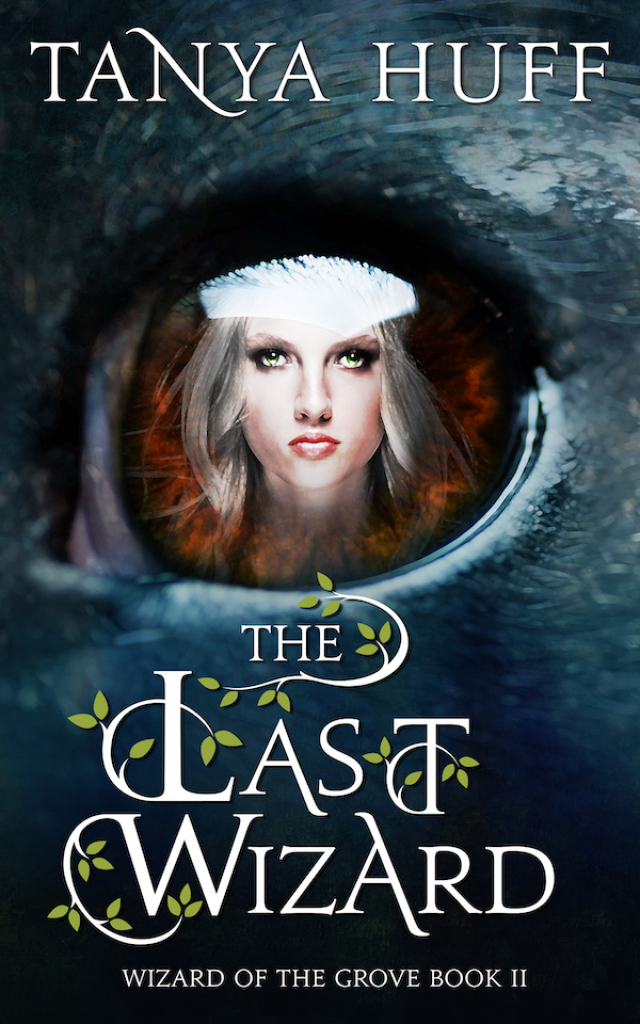 The Last Wizard