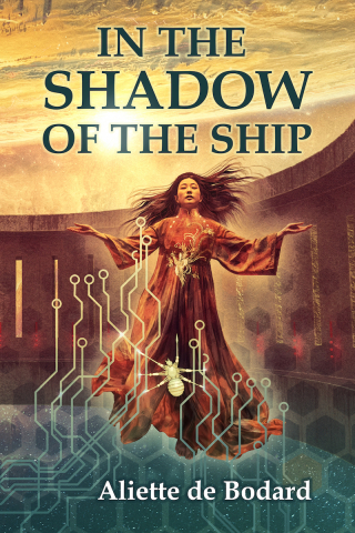In the Shadow of the Ship