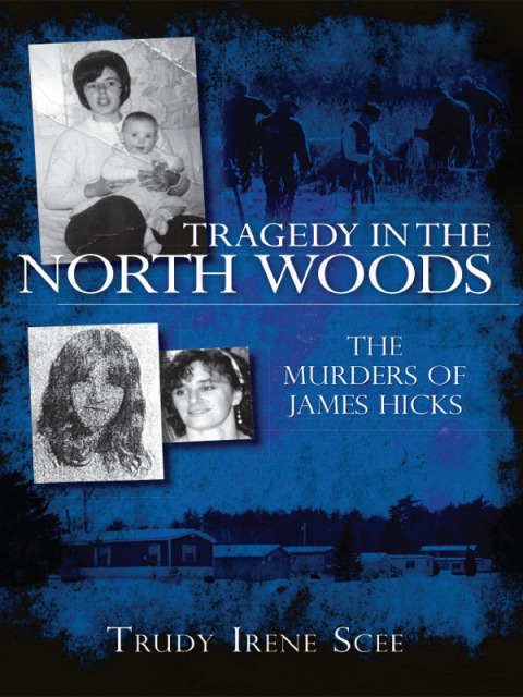 Cover image for book Tragedy in the North Woods