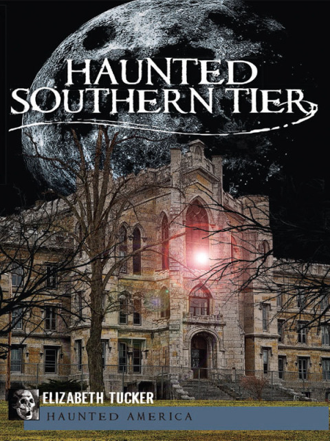 Cover image for book Haunted Southern Tier