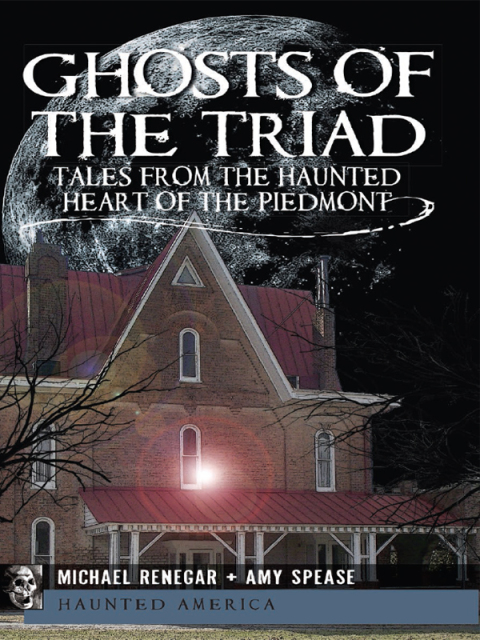 Cover image for book Ghosts of the Triad