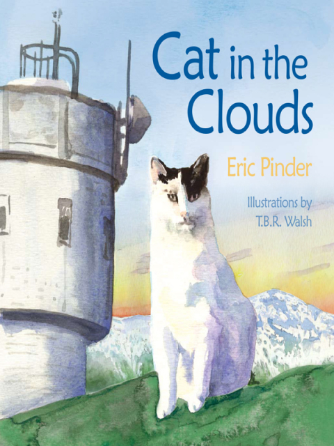 Cat in the Clouds 