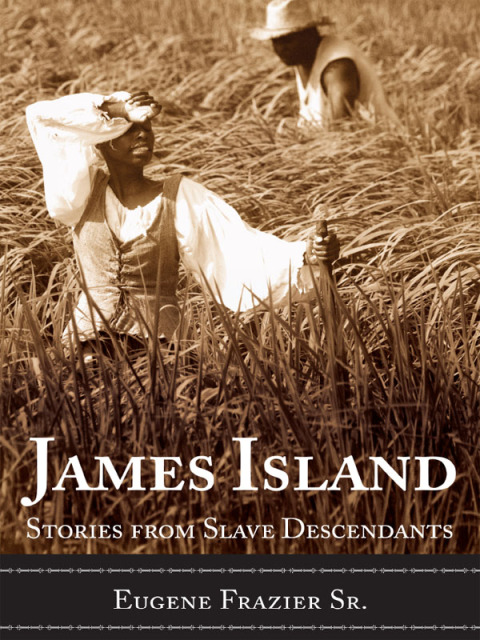 Cover image for book James Island