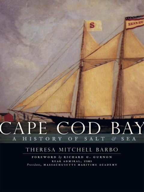 Cover image for book Cape Cod Bay