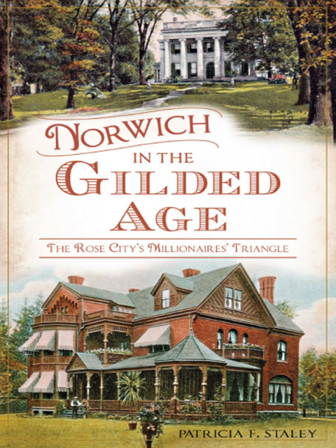 Cover image for book Norwich in the Gilded Age