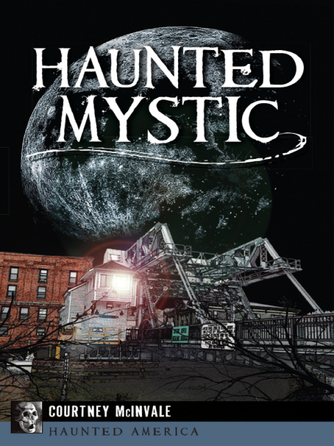 Cover image for book Haunted Mystic