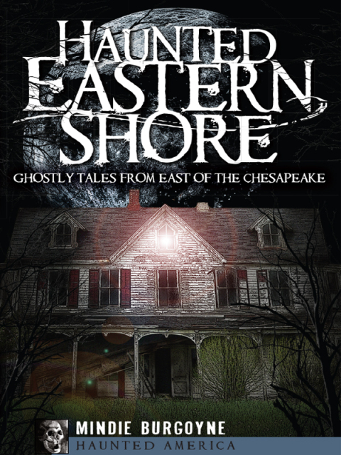 Cover image for book Haunted Eastern Shore