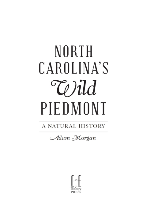 North CarolinaâÃÃ´s Wild Piedmont 