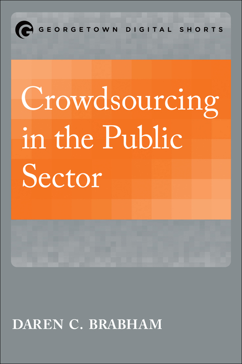 Cover image for book Crowdsourcing in the Public Sector