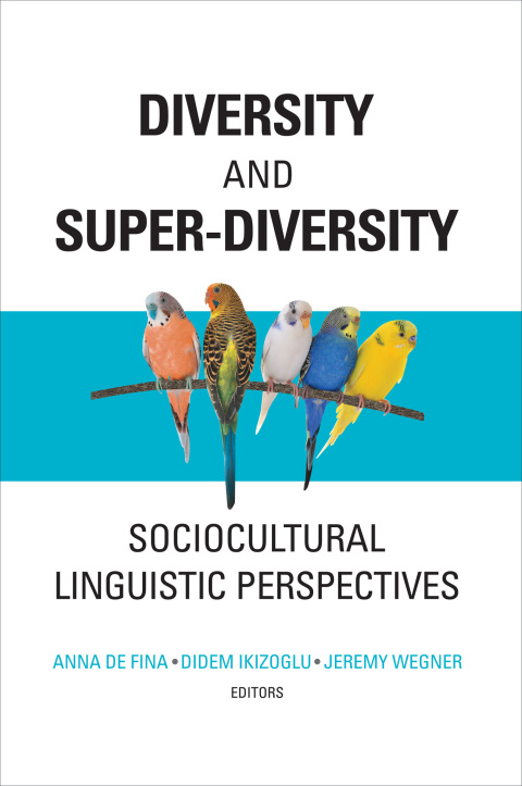 Cover image for book Diversity and Super-Diversity