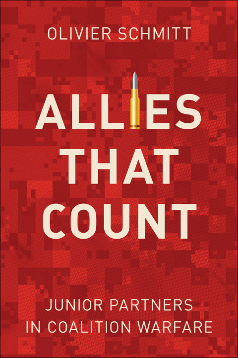 Cover image for book Allies That Count