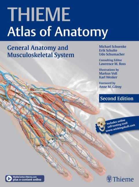 Cover image for book General Anatomy and Musculoskeletal System (THIEME Atlas of Anatomy)