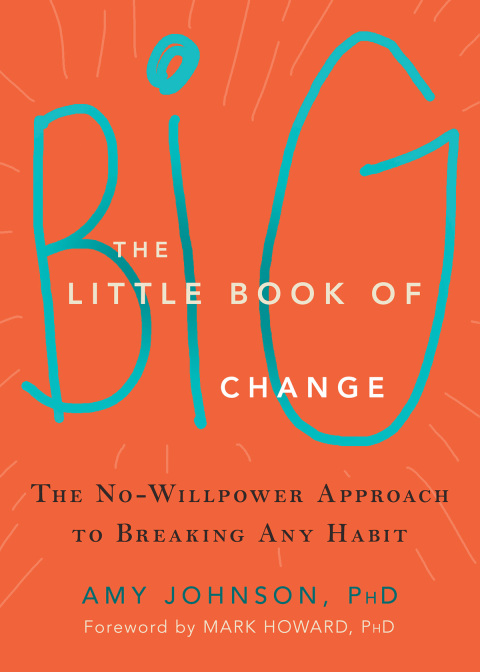 Cover image for book The Little Book of Big Change