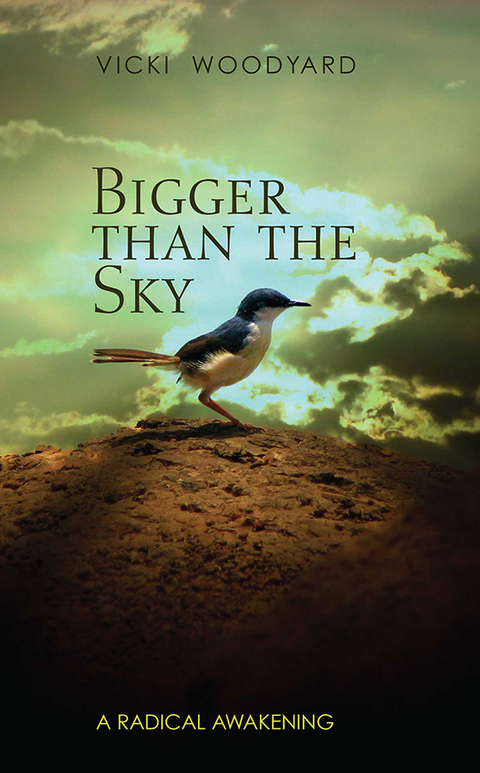 Cover image for book Bigger Than the Sky