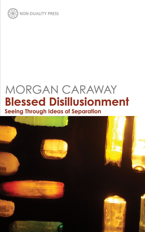 Cover image for book Blessed Disillusionment