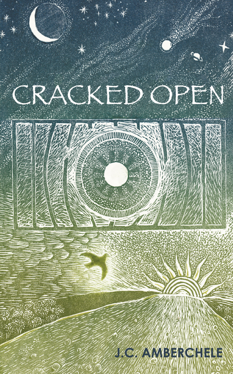 Cover image for book Cracked Open