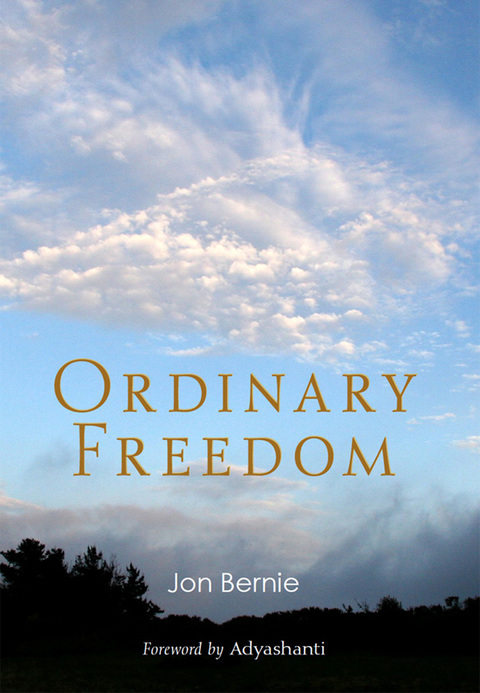 Cover image for book Ordinary Freedom