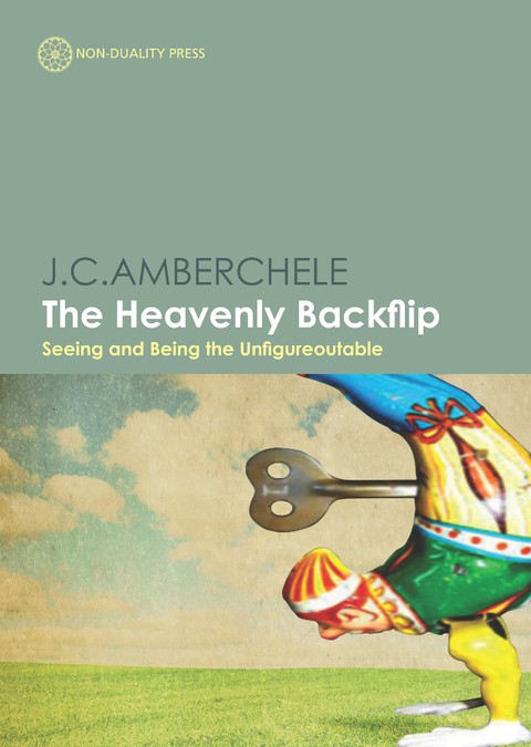 Cover image for book The Heavenly Backflip