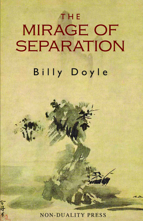 Cover image for book The Mirage of Separation