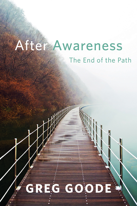 Cover image for book After Awareness