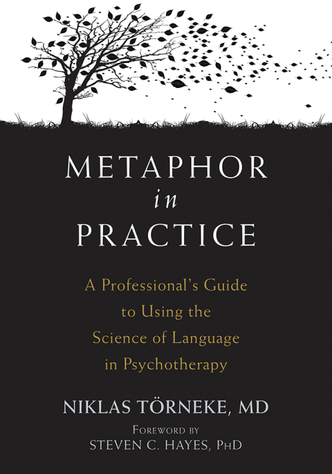 Cover image for book Metaphor in Practice