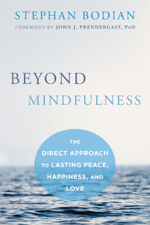 Cover image for book Beyond Mindfulness
