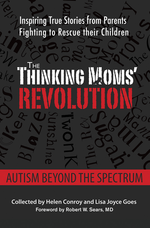 Cover image for book The Thinking Moms' Revolution