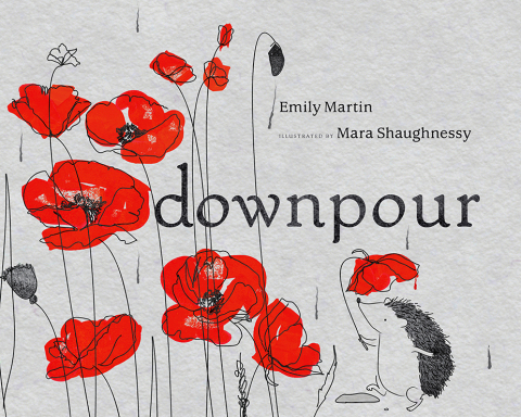 Cover image for book Downpour