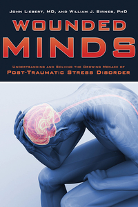 Cover image: Wounded Minds 9781620876503