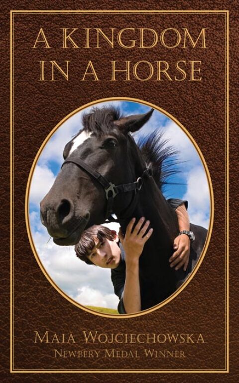 Cover image for book A Kingdom in a Horse