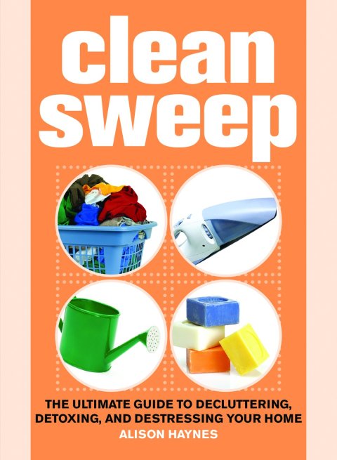 Cover image for book Clean Sweep