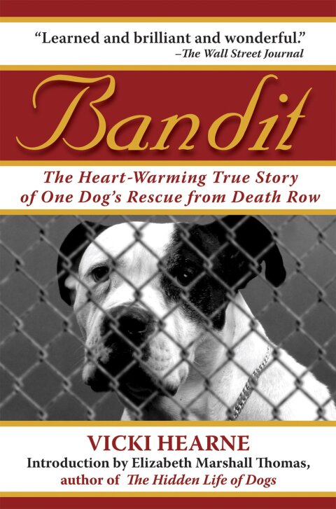 Cover image for book Bandit