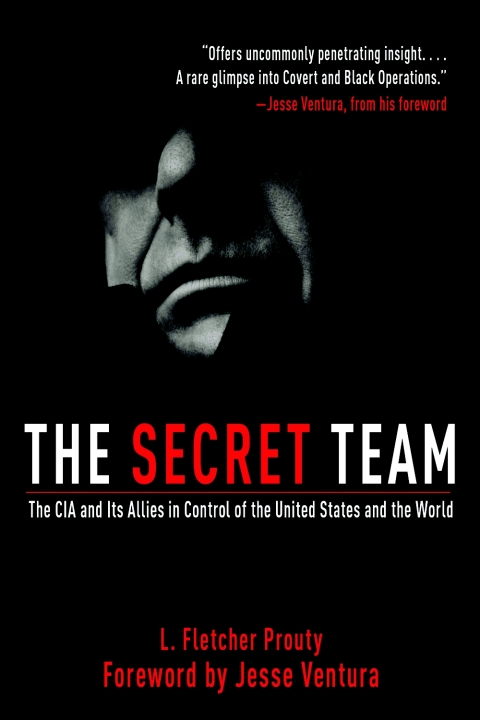 Cover image for book The Secret Team