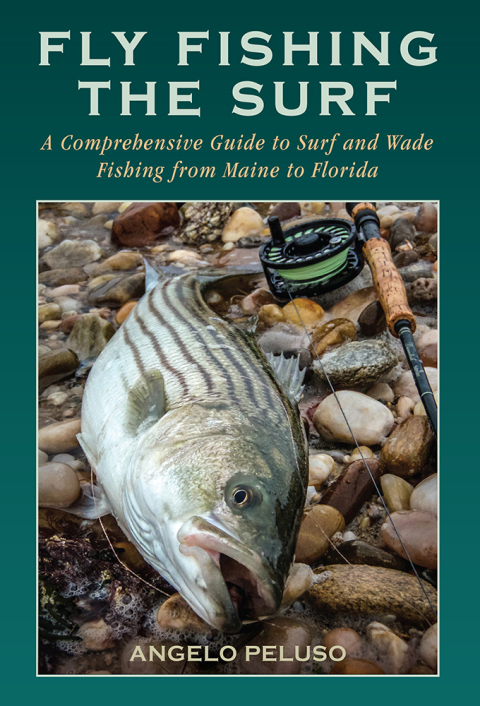 Cover image for book Fly Fishing the Surf