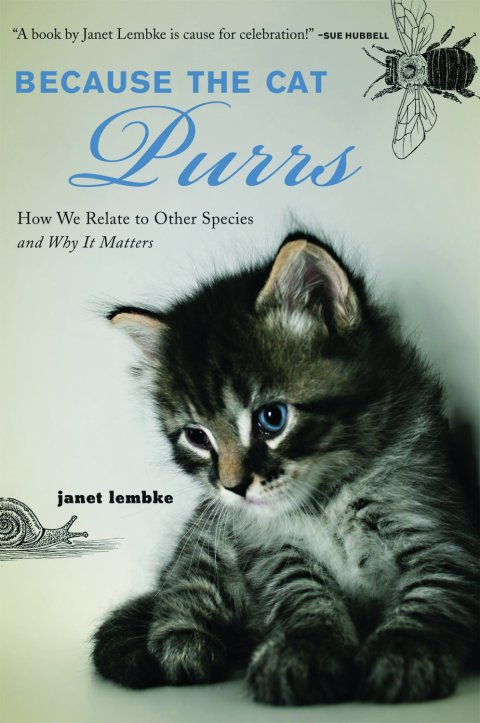 Cover image for book Because the Cat Purrs