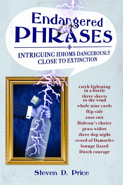 Cover image for book Endangered Phrases