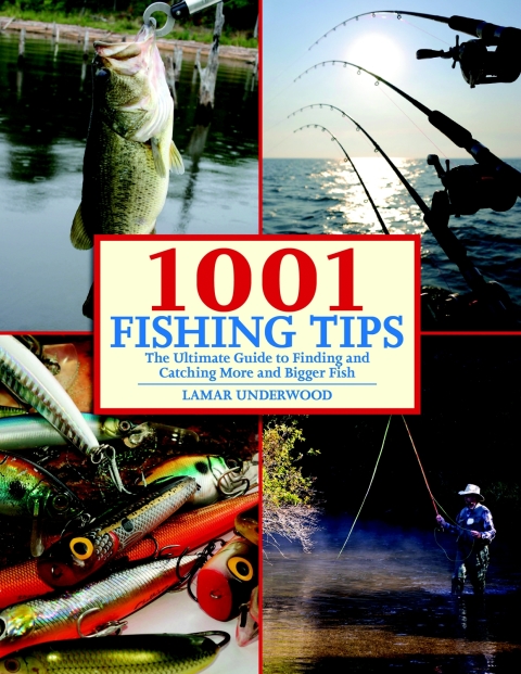 Cover image for book 1001 Fishing Tips