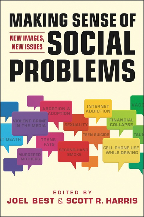 Cover image for book Making Sense of Social Problems: New Images, New Issues