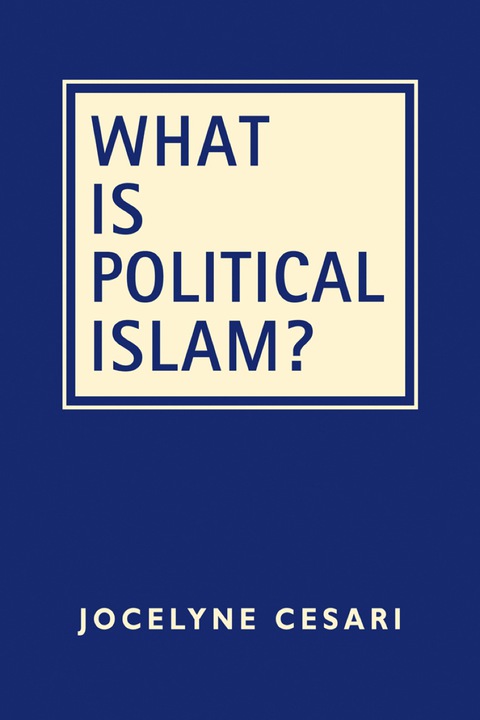 Cover image for book What is Political Islam?
