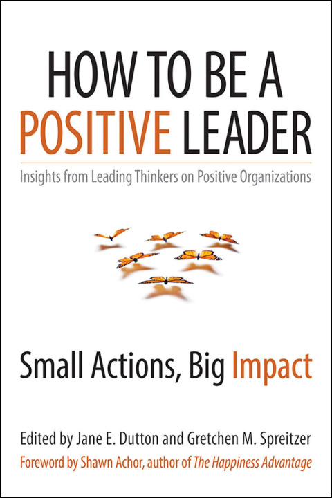 Cover image for book How to Be a Positive Leader