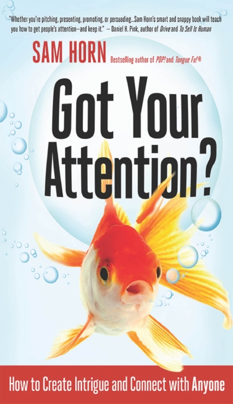 Cover image for book Got Your Attention?