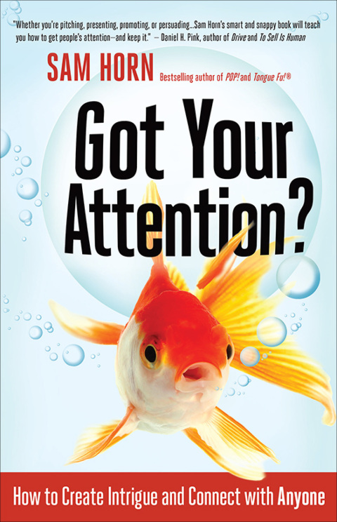 Cover image for book Got Your Attention?