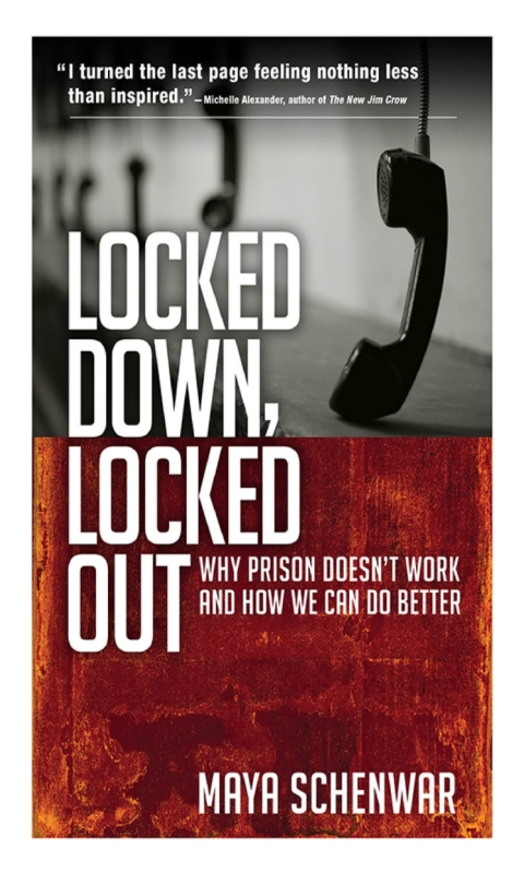 Cover image for book Locked Down, Locked Out