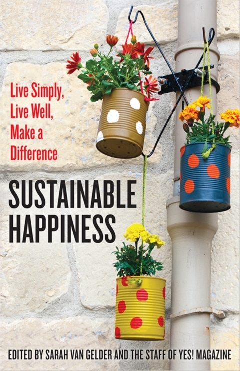 Cover image for book Sustainable Happiness