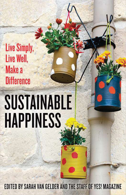 Cover image for book Sustainable Happiness