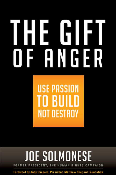 Cover image for book The Gift of Anger