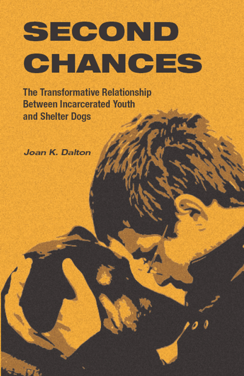 Cover image for book Second Chances