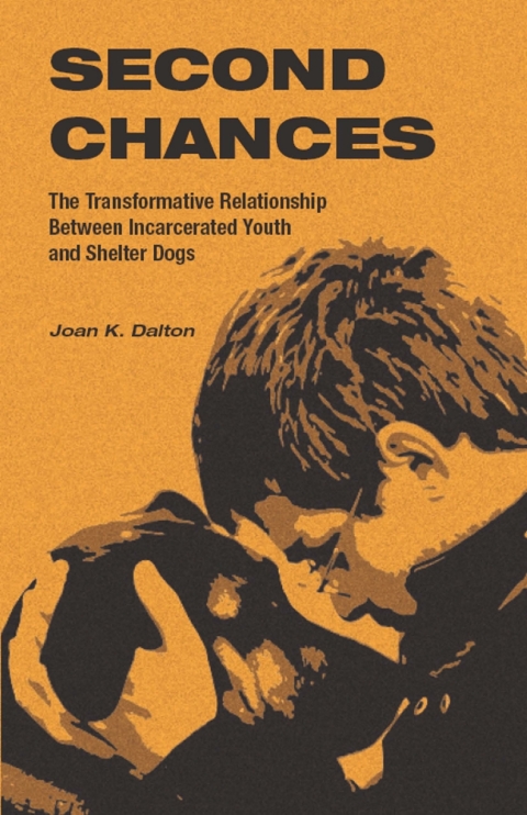 Cover image for book Second Chances